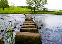 Stone path throught creek