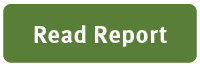 Read Report